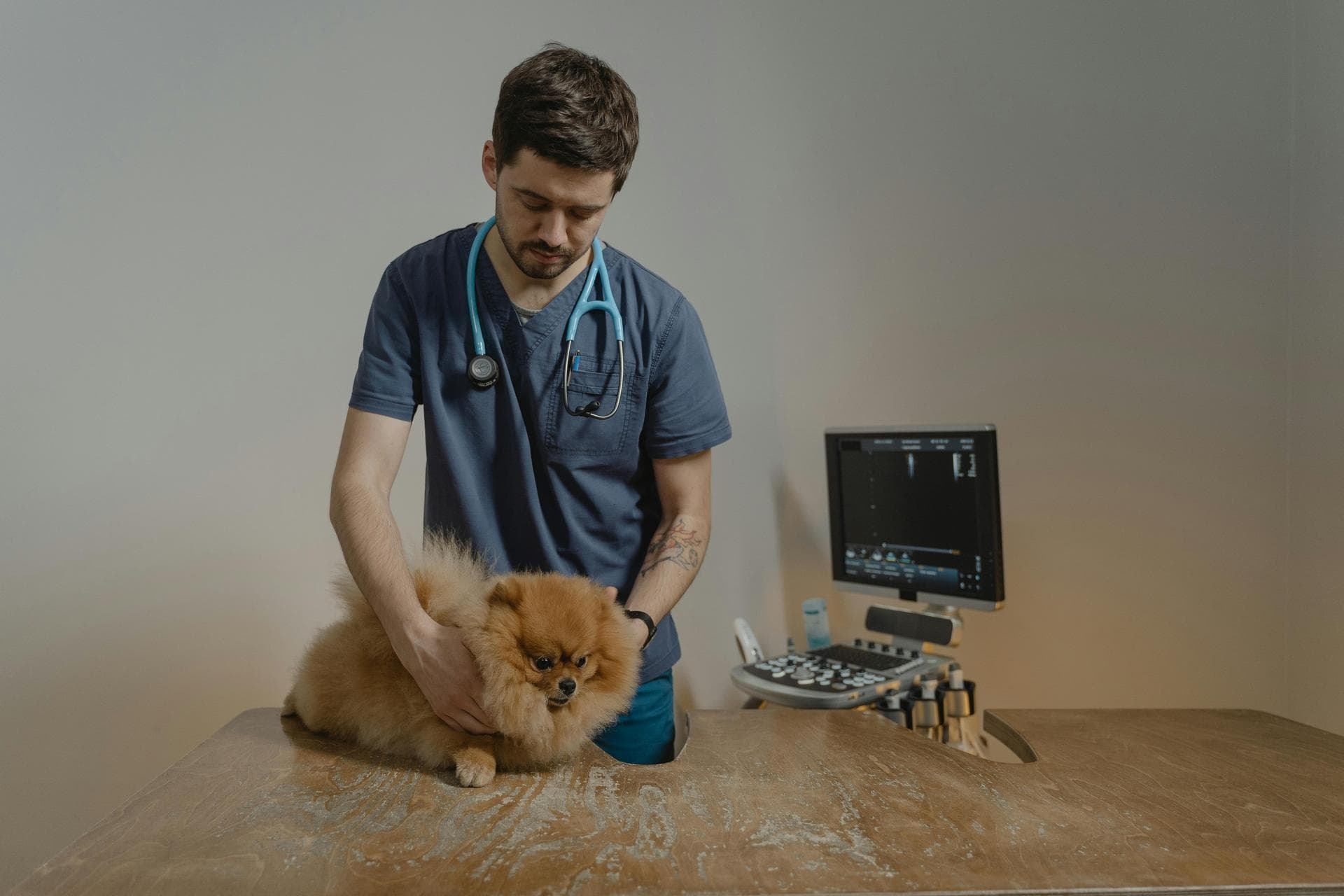 Specialist Vets in West Bend
